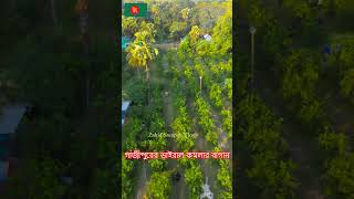 গাজীপুরের ভাইরাল কমলার বাগান ! গাজীপুরের শ্রীপুর উপজেলার বরমী ইউনিয়নের সাতখামাইর পশ্চিমপাড়া গ্রামে