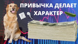 Как начать копить, если зарплата маленькая? 5 простых советов