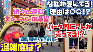 [閑散期終了前!!] なぜか混んできた!?USJのパークの様子と変化!![2月22日混雑状況]