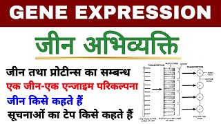 जीन अभिव्यक्ति | gene expression in hindi | gene abhivyakti | biology ScienceSK