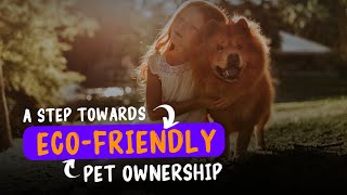 Sustainable Pet Care Tips | A Step Towards Eco-Friendly Pet Ownership