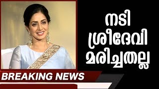 BREAKING NEWS നടി ശ്രീദേവി മരിച്ചതല്ല | News About Sreedevi