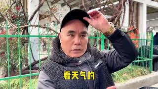 160. 上海人过年要花多少钱？过年怎么过？爷叔一席话说出实