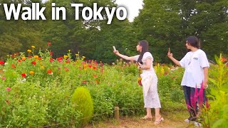 東京散歩。昭和記念公園のブーケガーデン (2023年8月)