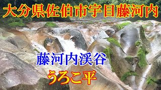 うろこ平　大分県佐伯市宇目町藤河内渓谷