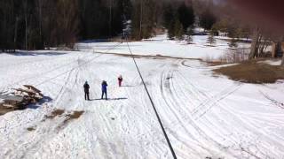 Zipping through the trees