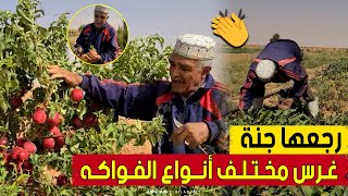 بعد 30 سنة من التدريس.. \