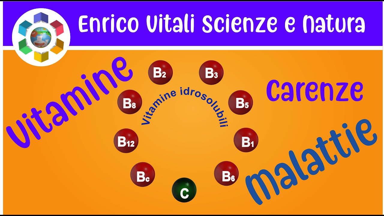 VITAMINE IDROSOLUBILI. FUNZIONI, CARENZE E MALATTIE. 4K - YouTube