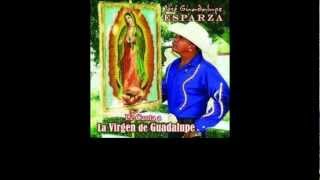 Virgencita de Guadalupe-Guadalupe Esparza