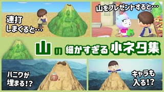 【あつ森】謎の新アイテム「山」に隠れた細かすぎる小ネタ集！【あつまれ どうぶつの森】@レウンGameTV