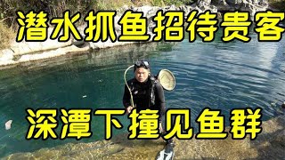 粉丝来做客，小邓潜水抓鱼招待粉丝，深潭下面发现鱼群太壮观了【民间小邓】