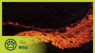 Central America | Lava Lovers 2/4 | Go Wild