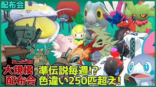 【#れっどの大規模配布会】色違い・育成済み250匹以上、色違いメッソン・伝説・準伝説・前代未聞規模の配布会！概要欄必読！！ 【ポケモンSV スカーレット バイオレット】