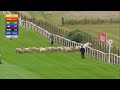 Sheep come on horse racing track / sheep on track!