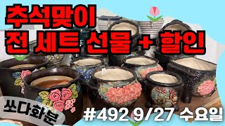 492차  #쏘다화분 9월 27일 |  #화분  #다육화분 #예쁜화분 수제화분 다육이화분 세일 할인 선물 베란다