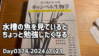 Day0374_水槽は好奇心を刺激する。 『インフォグラフィック版　科学のしくみ図鑑』『エッセンシャル・キャンベル生物学』等を読む【2024年7月21日】