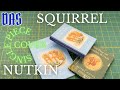 Binding Squirrel Nutkin using the Sewn-Board Binding // Adventures in Bookbinding