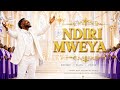 NDIRI MWEYA Zimbabwean Gospel | Powerful Worship Song