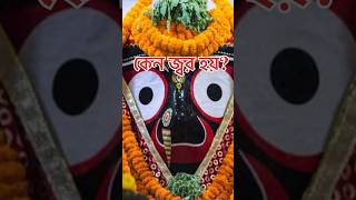 জগন্নাথদেবের কেন জ্বর আসে? 😳 #shorts #shortsfeed #viral #jagannath #mystery #ytshorts