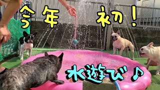 【水遊び】爆笑のオンパレードｗついにこのシーズンがやってきたー‼