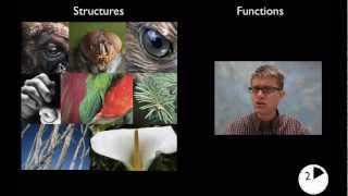 LS1A - Structure and Function