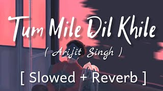 Tum Mile Dil Khile lofi song | [Slowed + Reverb] | Arjit Singh | #lofi #viral #trending #new |