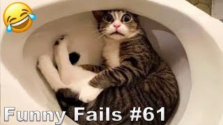 TRY NOT TO LAUGH WHILE WATCHING FUNNY FAILS #61