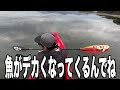 （秋の荒喰い）雨降りの琵琶湖 秋爆トップウォーター編【day1~4】真っ昼間の琵琶湖の真ん中でモンスター級のブラックバスがウヨウヨいてる！！