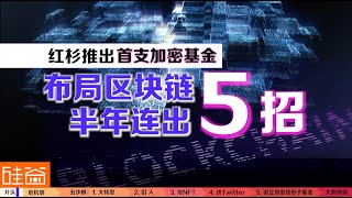 改架构、发NFT、推加密基金，红杉如何布局区块链投资？