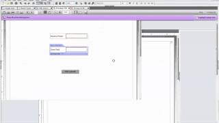 Livecycle Designer - Basic Validation