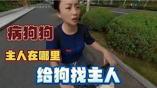 给流浪狗找主人，半路车没电了，只能回来充电，希望狗主能刷到我【敏敏三轮自驾游】