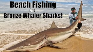 Shark Fishing in the Eastern Cape, South Africa! The Bronze Whaler Sharks of Sundays River!