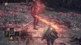 DARK SOULS III　王たちの化身　低レベル　タイムアタック