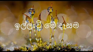 ඉල්ලාවි මේ දෑසම (Sudamm Dinesh ft Yashara Bandara)