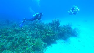 20220405 Roatan Dives Raw Video