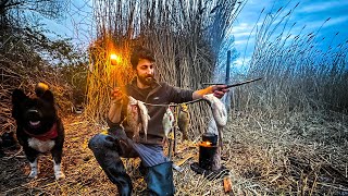 3 DAYS solo survival (NO FOOD) HUNTER SHELTER - Catch and Cook - Fishing - Bushcraft Camping