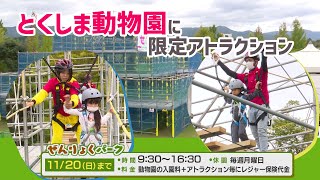 ぜんりょくで楽しもう！とくしま動物園でイベント開催【テレビトクシマ】巨大迷路/アスレチック