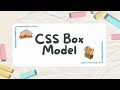 Learn CSS Box Model in 11 minutes: CSS box model explained with example: CSS box model for beginners