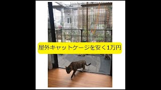 【DIY】屋外キャットケージ（幅2m／高さ2m）の安く1万円の作り方：「大丈夫だよブログ」ネット検索で、「屋外キャットケージ」キーワードで、本記事に辿り着けます