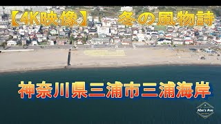 【三浦半島】三浦海岸　冬の風物詩　　　とらばあちゃんの三浦たくあん　2022　　　　　　　　　　