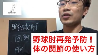 【野球肘再発予防】体全体を巧く使うための2つの関節