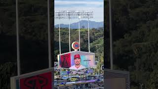 Angels starting lineup.