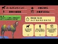 《追い切り評価》小倉２歳Ｓ2022〘調教診断3本の矢〙人気どころは万全か？しかし上位を崩す候補も目星が