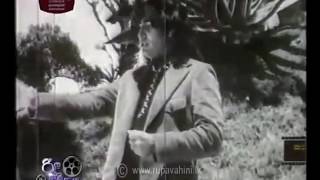 නීල බිඟු කැල - රජගෙදර පරවියෝ 1975