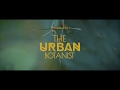 House On Fire - The Urban Botanist