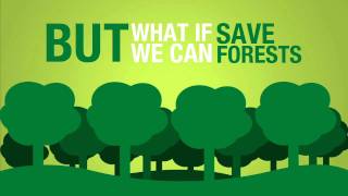 Save Paper to Save Forests