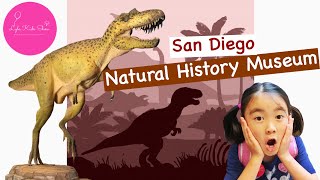 Dinosaur and Fossil History | #Educationalvideoforkids | San Diego Natural History Museum