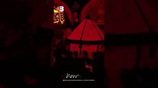 Ashura | 10 Muharram |Noha WhatsApp Status | Shahdat Mola Hussain as | Karbla | Noha