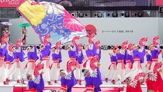 [4K] りぐる　高知よさこい祭り 2019 全国大会 (中央)