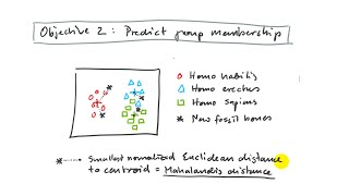 11.6. Discriminant Analysis, MANOVA (mv690, discrim)